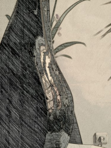 2013 01 13 - A Jarra